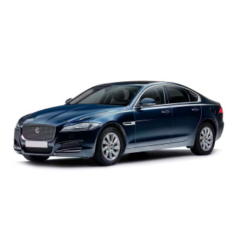 XF