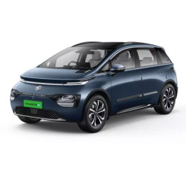 Windsor EV